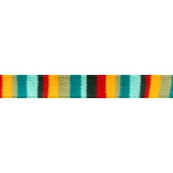 At the Beach - Catalina