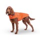 Orange Field Coat