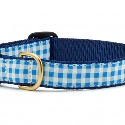Blue Gingham