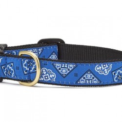 Blue Bandana