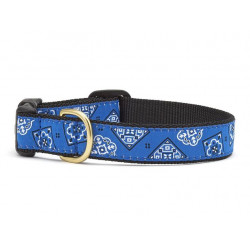 Blue Bandana