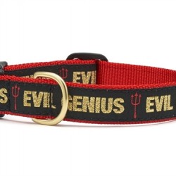 Evil Genius Cat