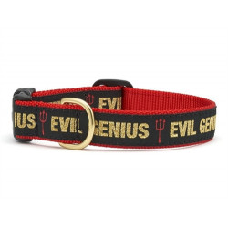 Evil Genius Cat