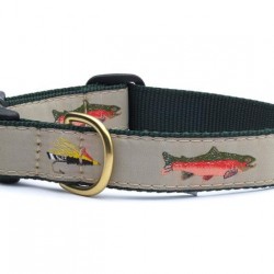 Fly Fishing