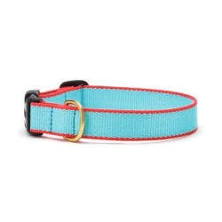 Aqua & Coral
