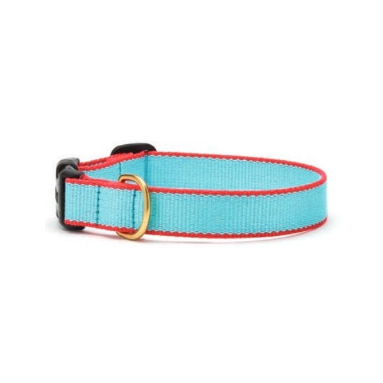 Aqua & Coral