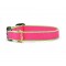 Bright Pink & Lime