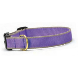 Purple & Gray
