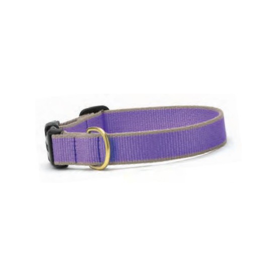 Purple & Gray