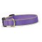 Purple & Gray
