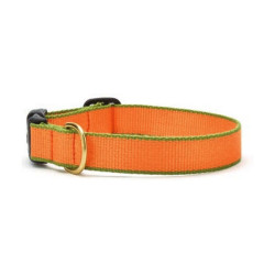 Tangerine & Pine Green