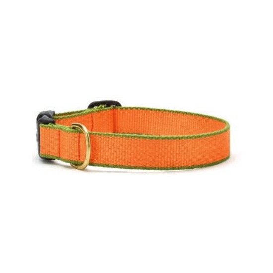Tangerine & Pine Green