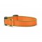 Tangerine & Pine Green