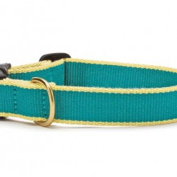 Teal & Yellow