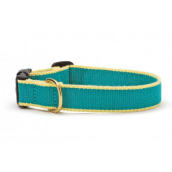 Teal & Yellow