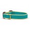 Teal & Yellow
