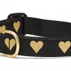 Heart of Gold Cat