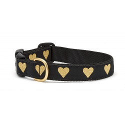 Heart of Gold Cat