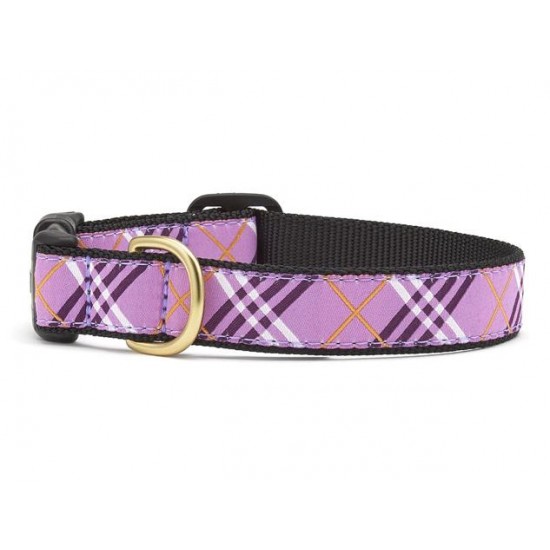 Lavender Lattice