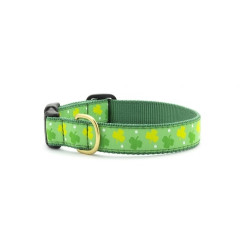 Shamrock