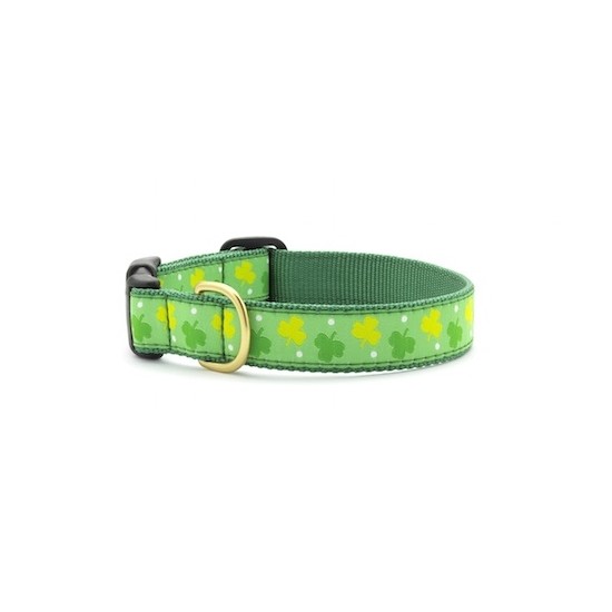 Shamrock