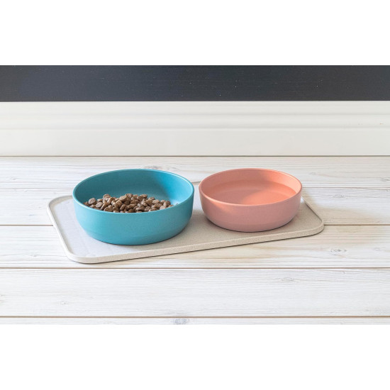 Feeding Tray