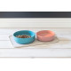 Feeding Tray