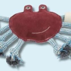 Chew & Interactive with Water Buffalo Bone