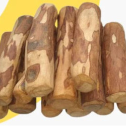Coffee Wood Dog Chew