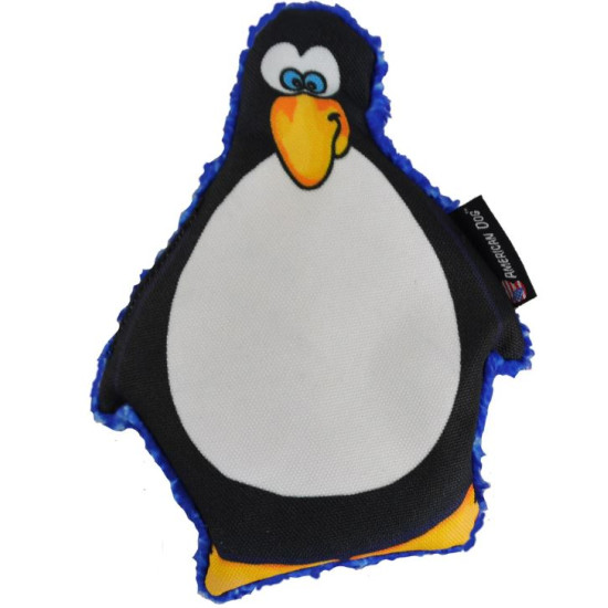 Ann Arctic