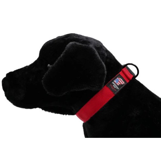 Collar - Armor