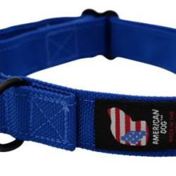 Collar - Armor