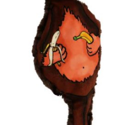 Milo Monkey