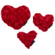 Nuggle Hearts