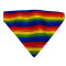 Bandana - Rainbow