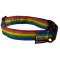 Collar - Rainbow