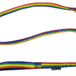 Leash - Rainbow
