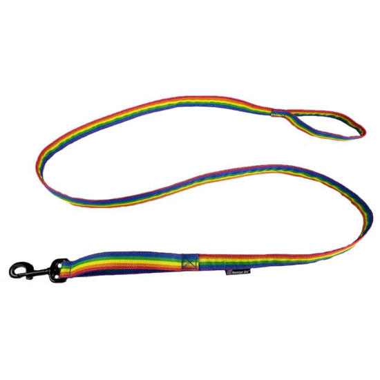 Leash - Rainbow