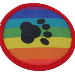 Paw Flyer - Rainbow