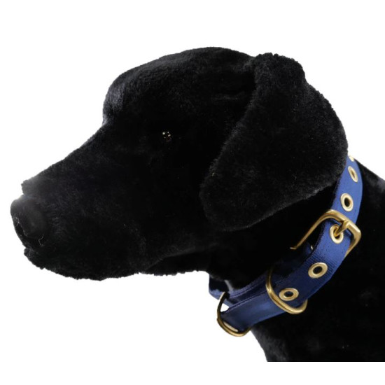 Collar - Seatbelt