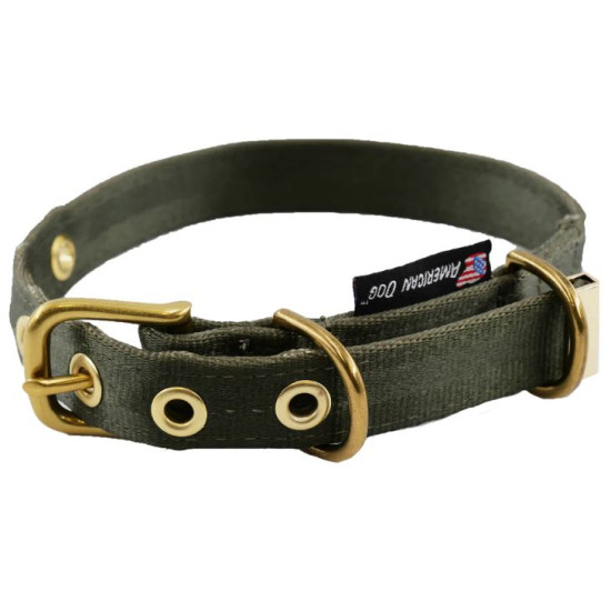 Collar - Seatbelt