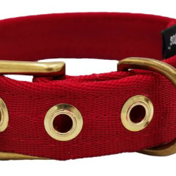 Collar - Seatbelt