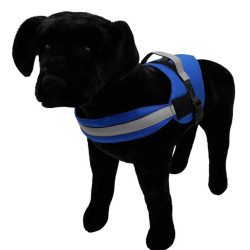 Harness - Armor