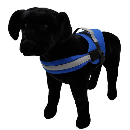 Harness - Armor