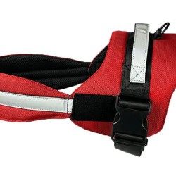 Harness - Armor