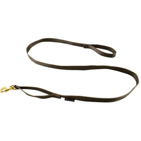 Leash - Seatbelt