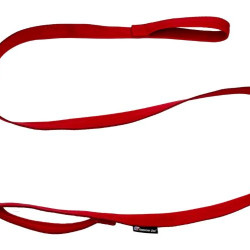 Leash - Seatbelt