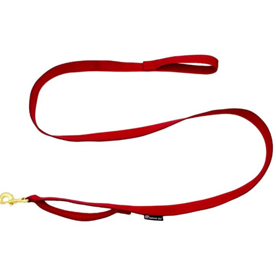 Leash - Seatbelt