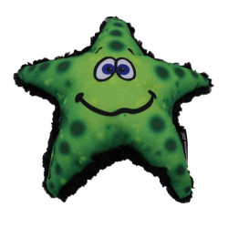 Stanley Starfish