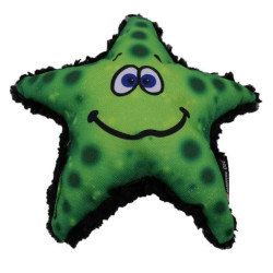 Stanley Starfish